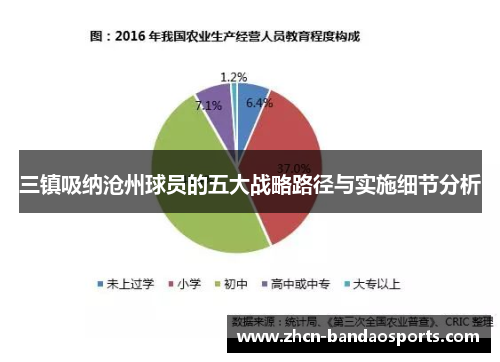 三镇吸纳沧州球员的五大战略路径与实施细节分析