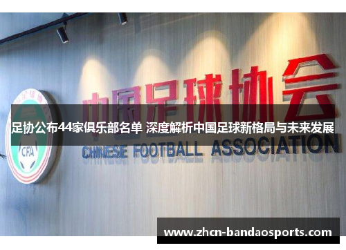 足协公布44家俱乐部名单 深度解析中国足球新格局与未来发展